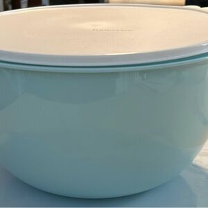 Tupperware Thatsa Bowl Mega- 42cup